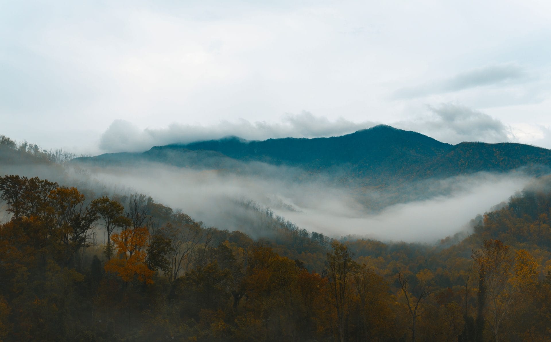 pexels-joshuaworoniecki-5971383